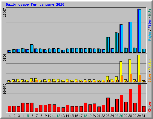 Daily usage for January 2020