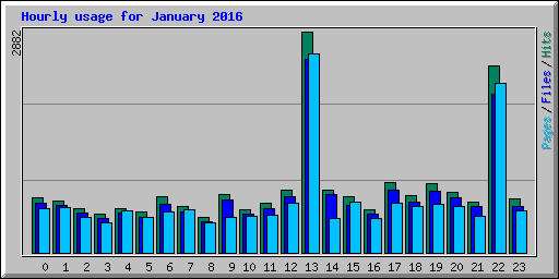 Hourly usage for January 2016